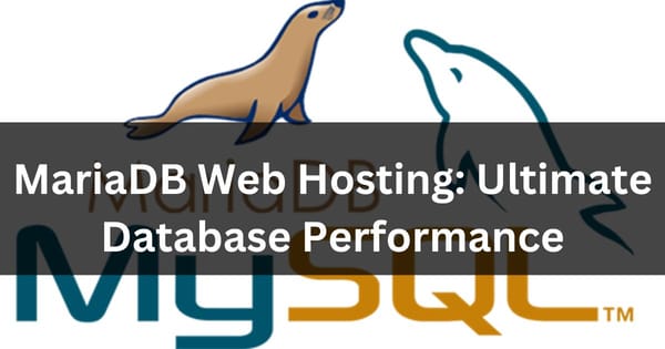 MariaDB Web Hosting: Ultimate Database Performance 2024